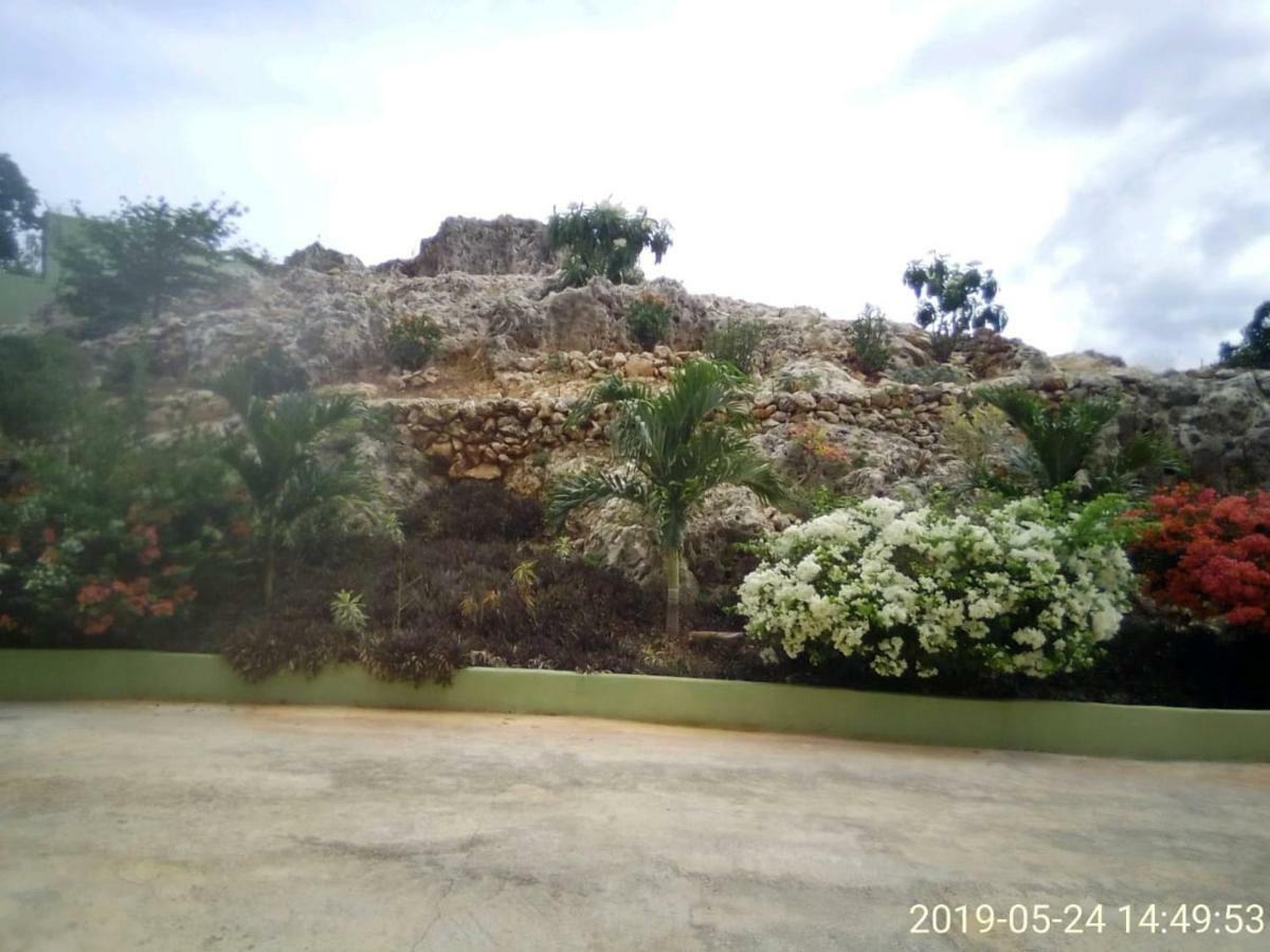 Eve'S Rockaway Villa Alligator Pond Extérieur photo